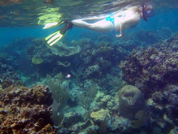 Roatan lynette snorkeling